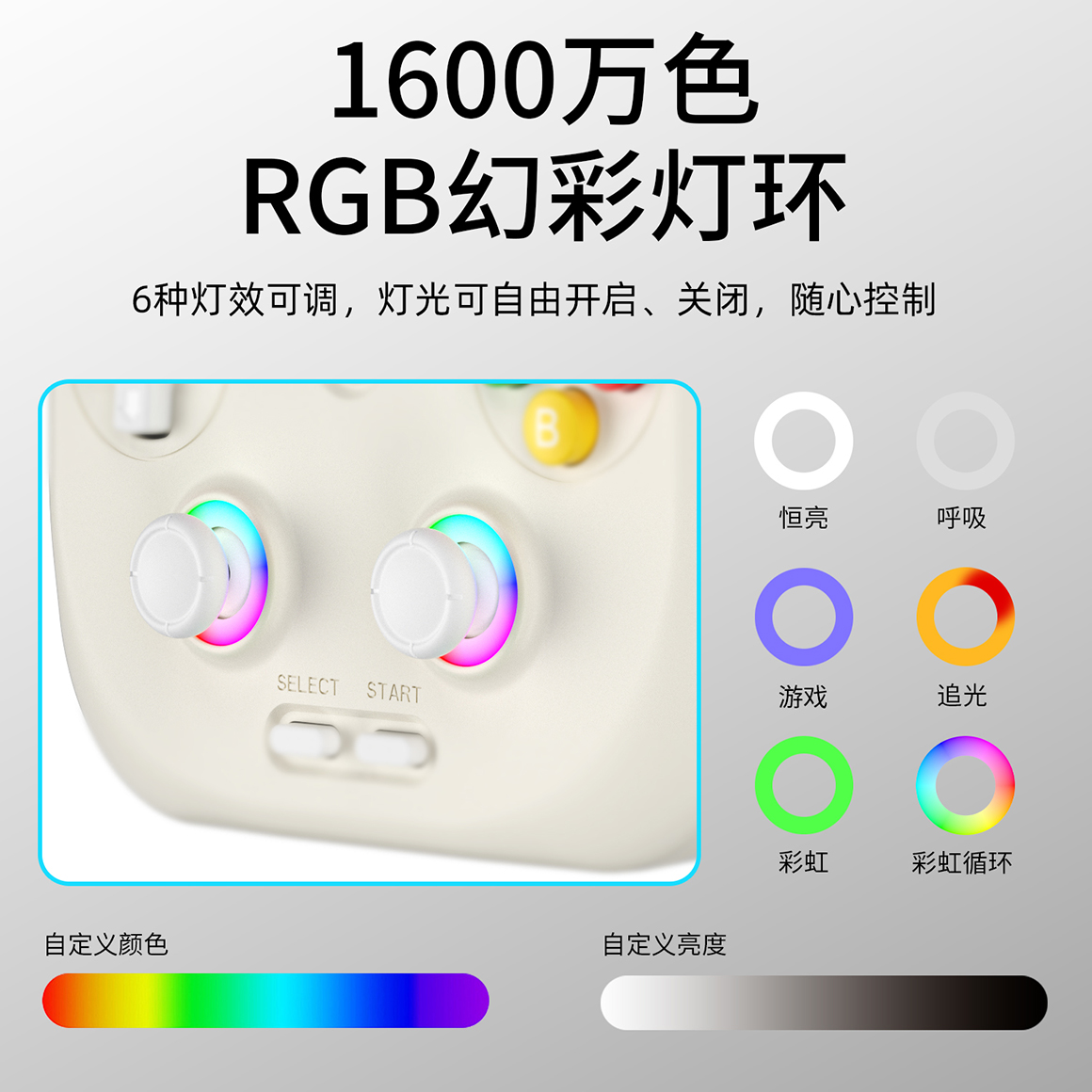 RG 406V(图6)